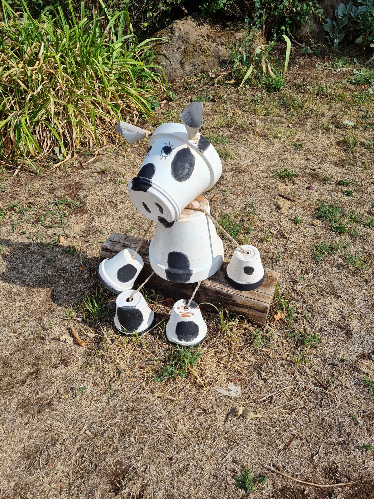 Animaux du Monde — photo 2